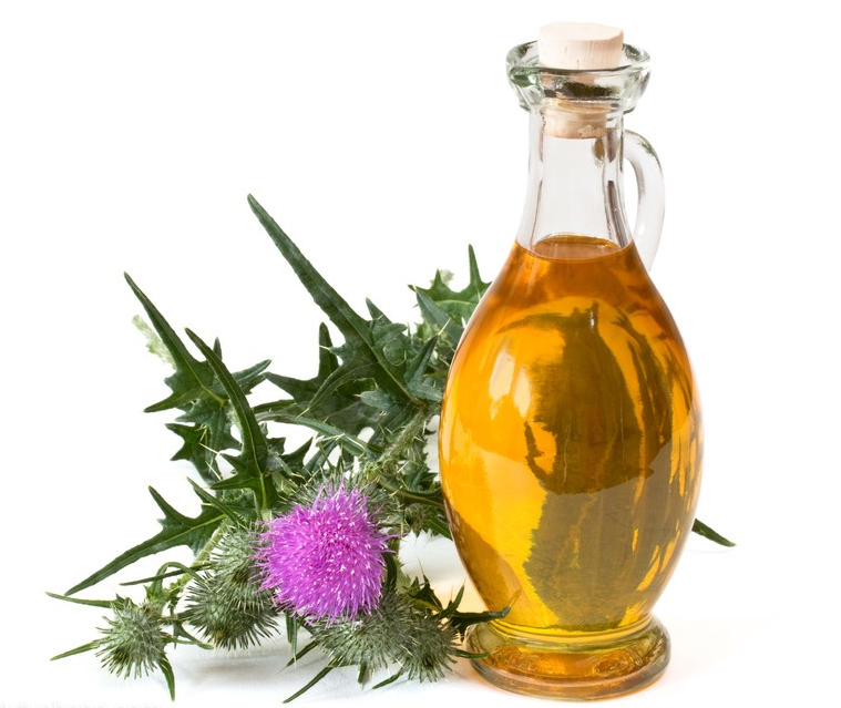 RUIWO PHYTOCHEM Herbal Bulk Milk Thistle Extract Powder Silymarin 98% Food Grade HPLC