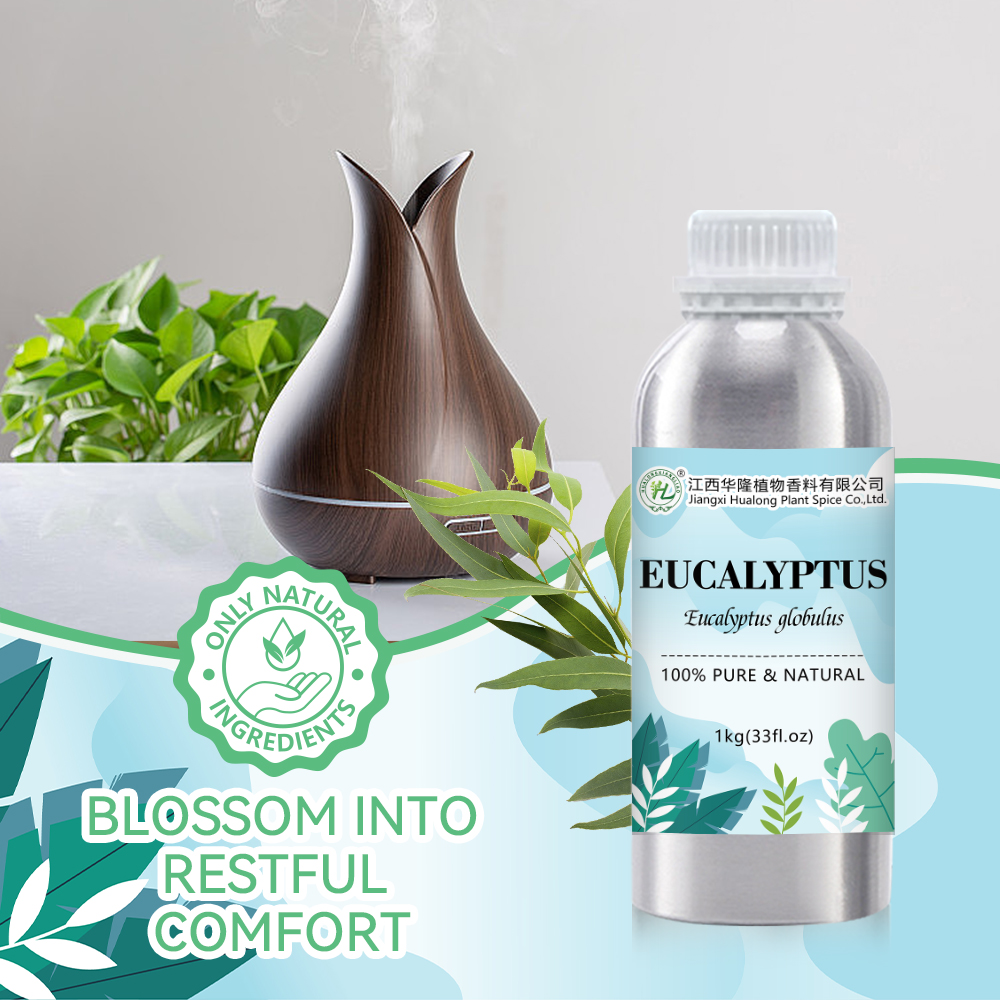 Organic Eucalyptus Essential Oil Blue Gum - 100% Pure Natural China Eucalyptus Globulus Leaves Steam Distilled | Bulk Price 1kg