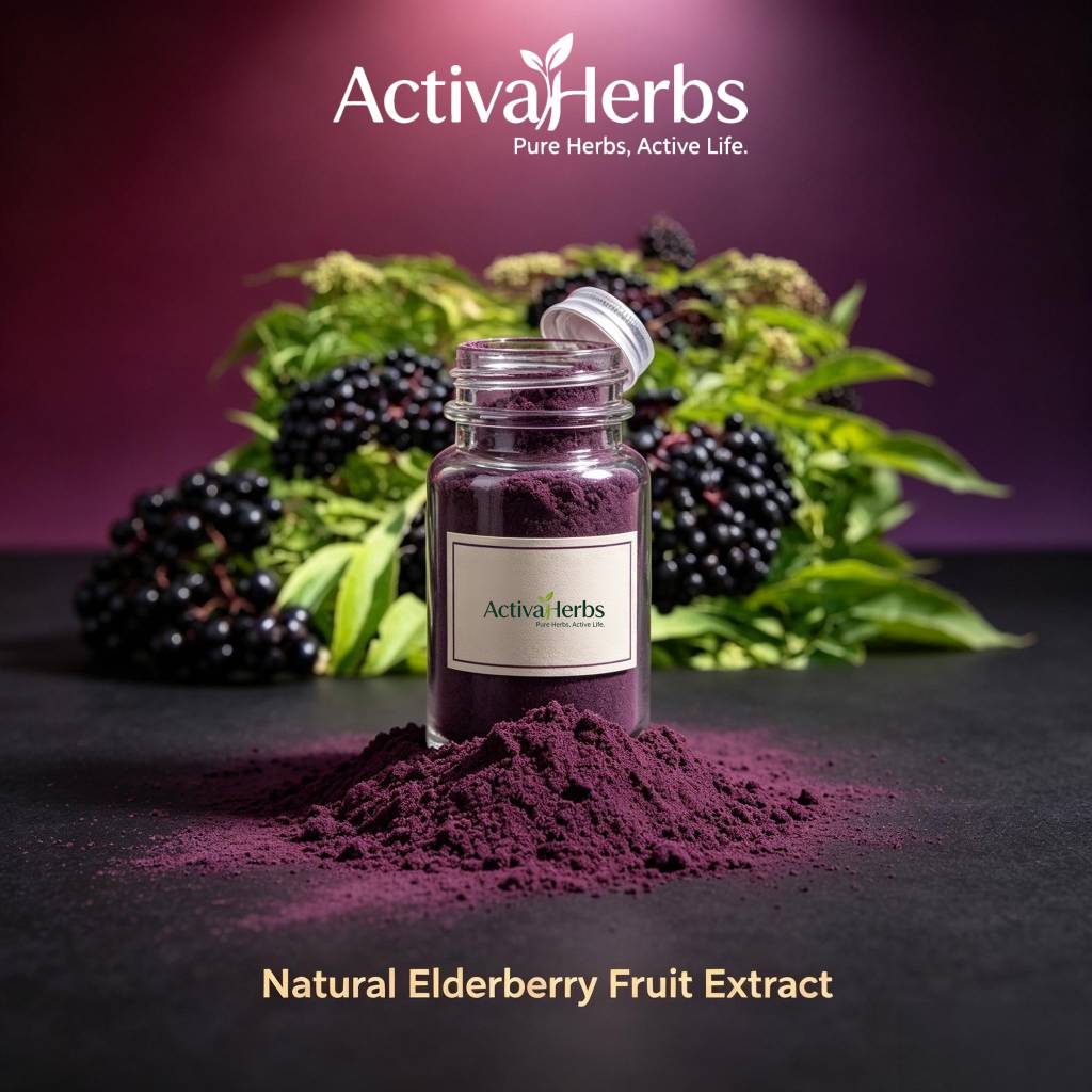 Natural Elderberry Extract Powder 25% Anthocyanins Sambucus Nigra L Solvent Extraction Drum Health Food Grade for Immune Support