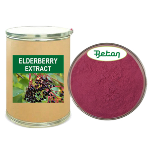 Factory Supply Elderberry Fruit Extract Powder Anthocyanins 15% 25%