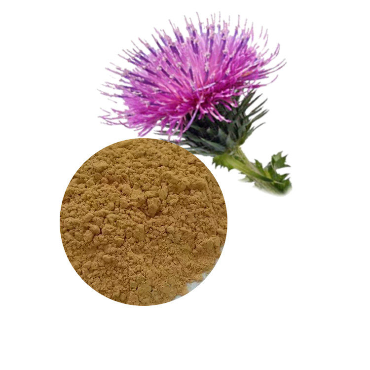 Ruiwo Phytochem Bulk Milk Thistle Extract 10:1 (80% Silymarin) Powder Health Food Grade ISO 22000 HACCP Certified Tested 1kg