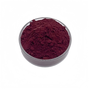 Food Grade Natural Color Sambucus Nigra Elderberry Extract Powder 10:1 for Functional Beverages