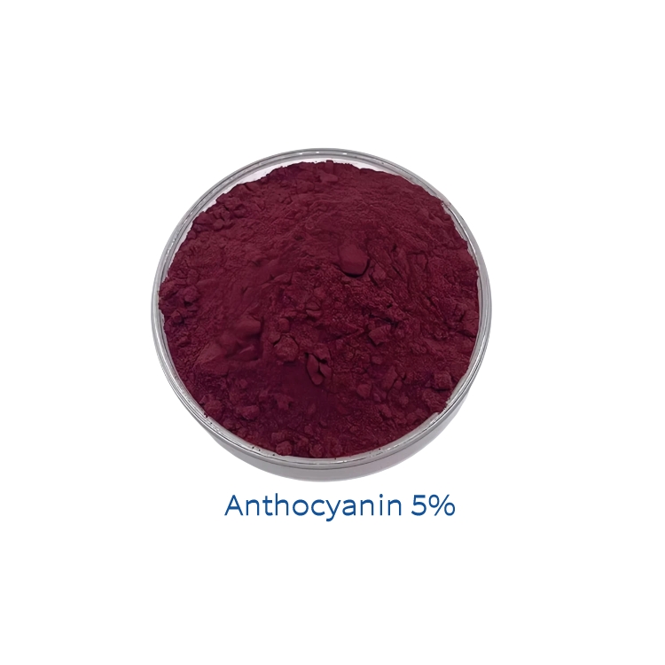 Food Grade Natural Color Sambucus Nigra Elderberry Extract Powder 10:1 for Functional Beverages