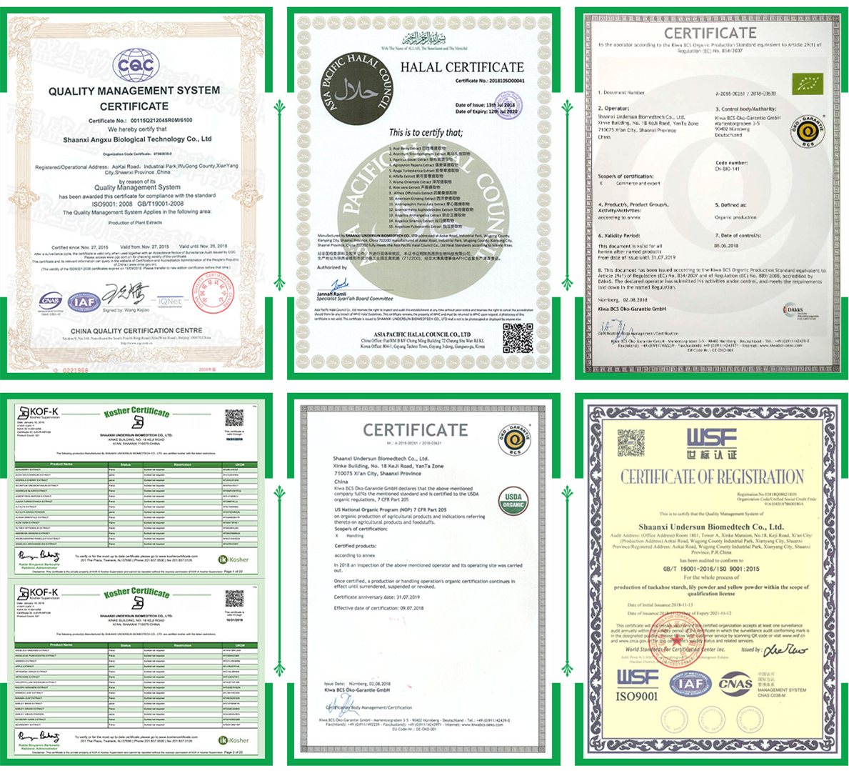 Boswellia Serrata Extract 65% 90% Boswellic Acid Frankincense Extract Powder