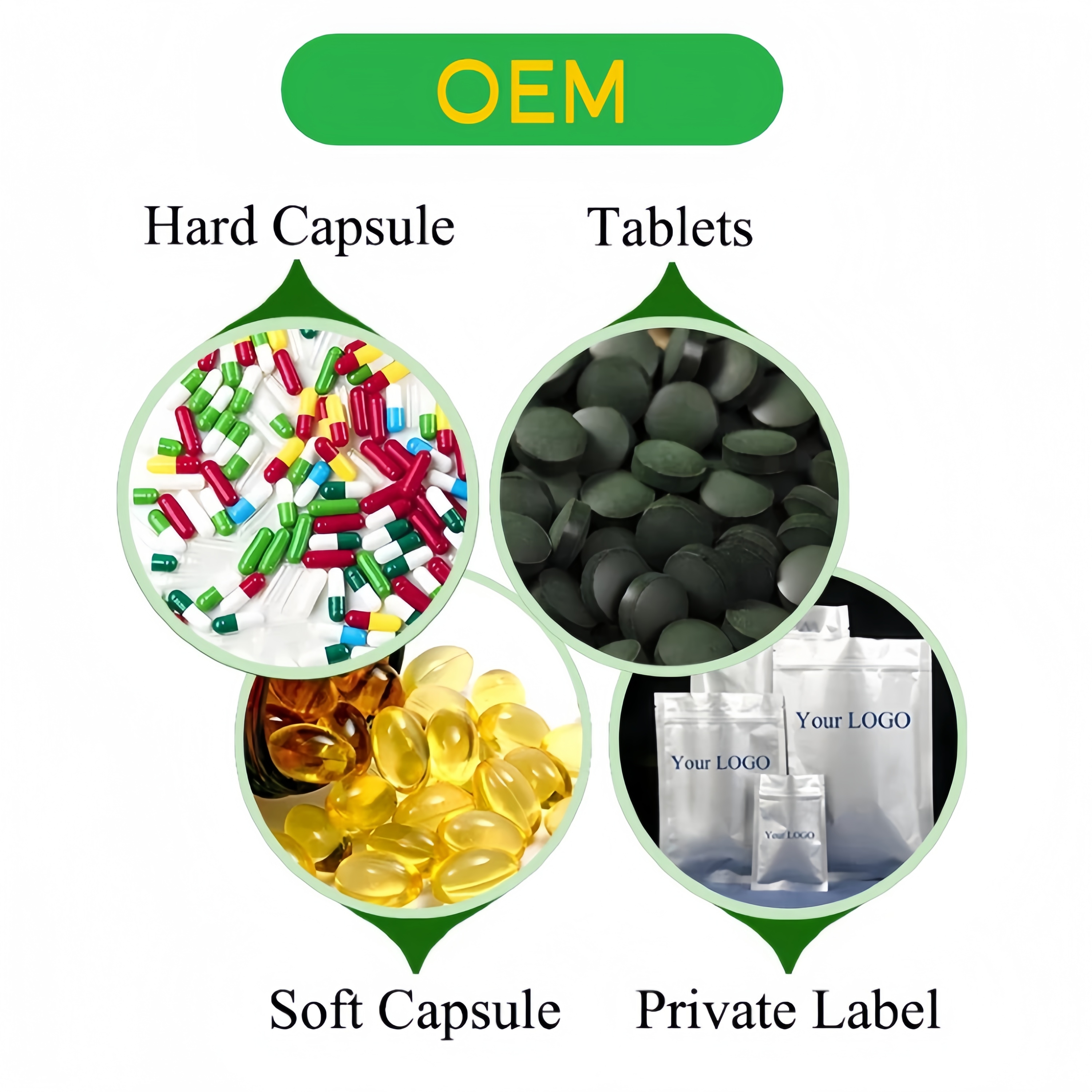 Elderberry Extract Black Elderberry Sambucus Nigra Fruit Powder Rich in Anthocyanin &amp; Flavonoids