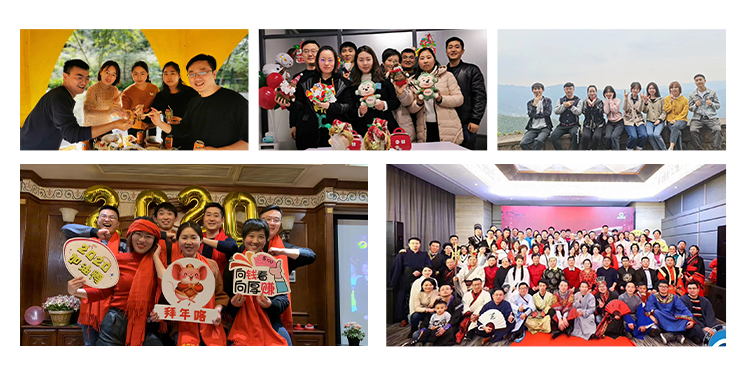 Our Professional Team