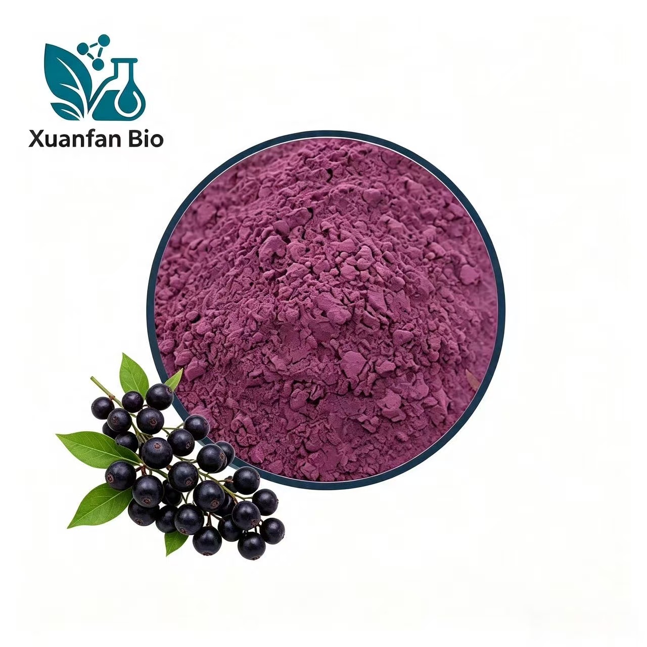 Elderberry Extract Powder Sambucus Nigra Fruit Extract Anthocyanins Natural Raw Material Food Grade Drum for Food Cosmetic Use