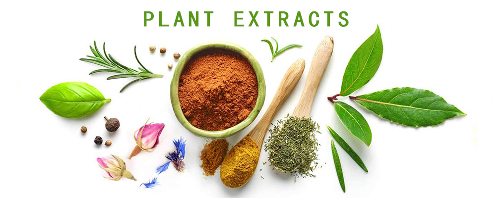 HDM Health Care Product Cordyceps Sinensis Extract Polysaccharides