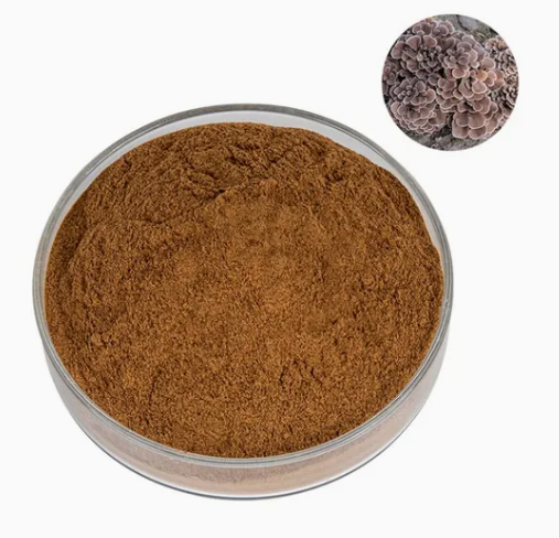 Food Grade Mushroom Blend Extract Powder Mixed Fungus Extract Bulk Wholesale For Different Kinds Of Functional Food Projects