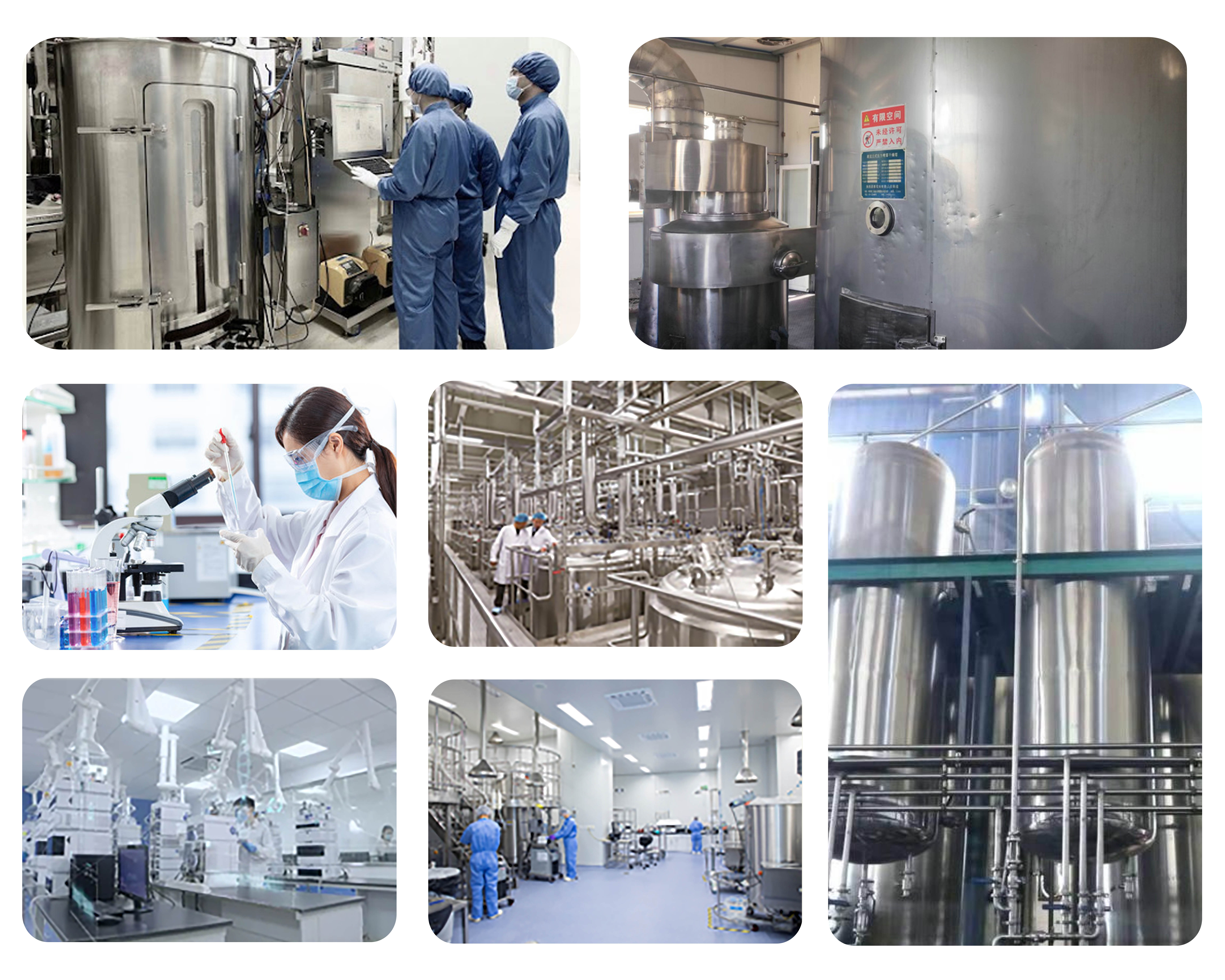 Pilot Plant Facilities