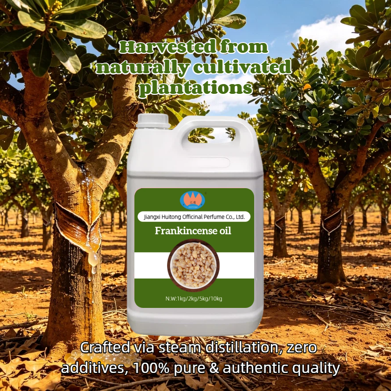 Bulk 100% Pure Frankincense Pure Essential Oil CO2 Extracted Steam Distilled Natural Moisturizing Body