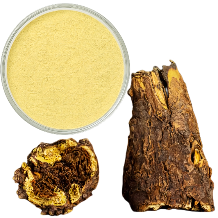 Pure Quality Hot Selling Natural Herbal Bulk OEM Factory Supply Scutellaria Root Extract