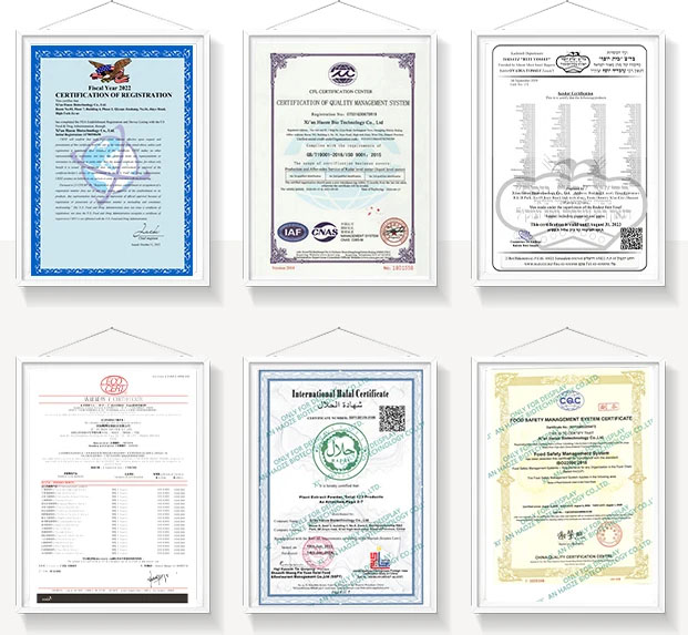 HACCP Certified Boswellic Acid Boswellia Serrata Extract Powder Bulk Boswellia Powder