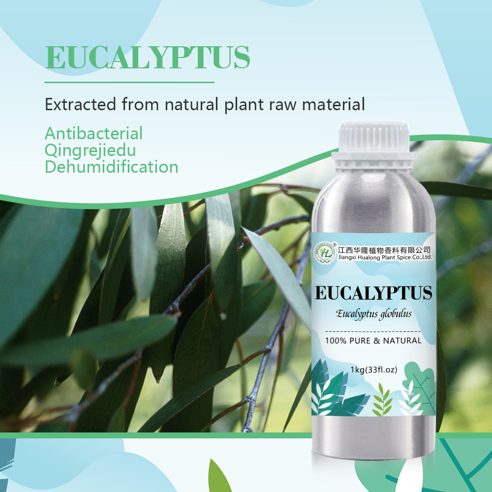 Organic Eucalyptus Essential Oil Blue Gum - 100% Pure Natural China Eucalyptus Globulus Leaves Steam Distilled | Bulk Price 1kg