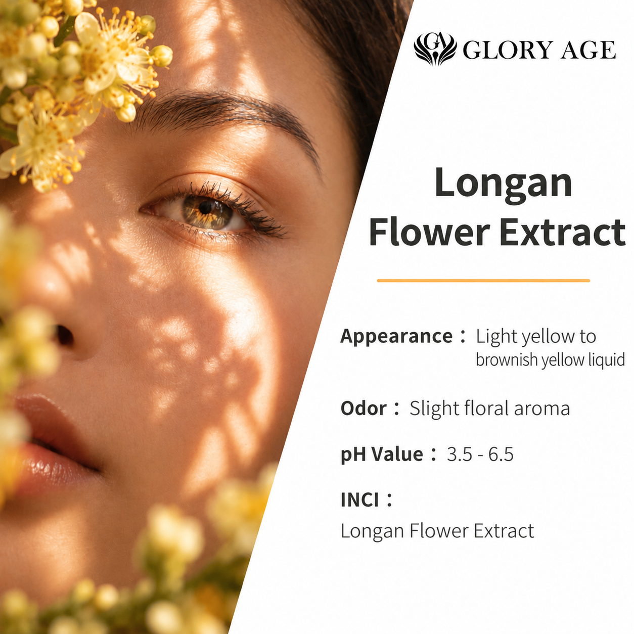 DNA Protection Botanical Cosmetic Raw Material Extract for UV Defense Cream and Daily Skin Repair Products