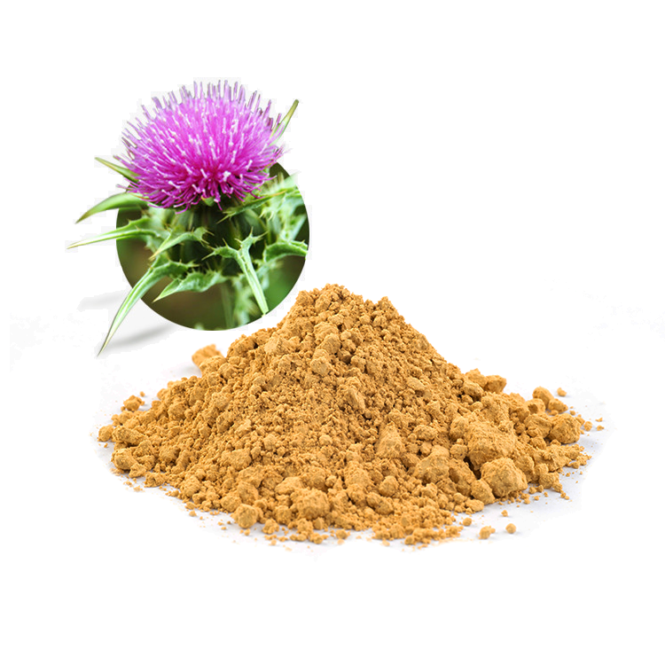 Ruiwo Phytochem Bulk Milk Thistle Extract 10:1 (80% Silymarin) Powder Health Food Grade ISO 22000 HACCP Certified Tested 1kg