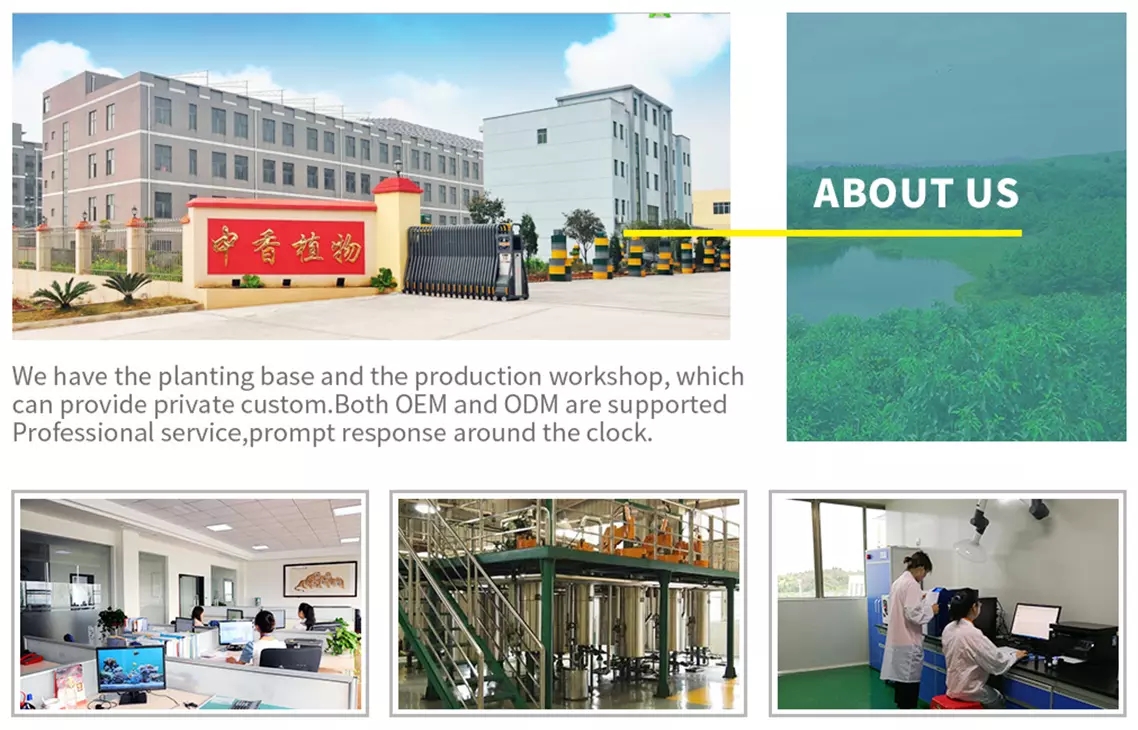 Company Facility 1