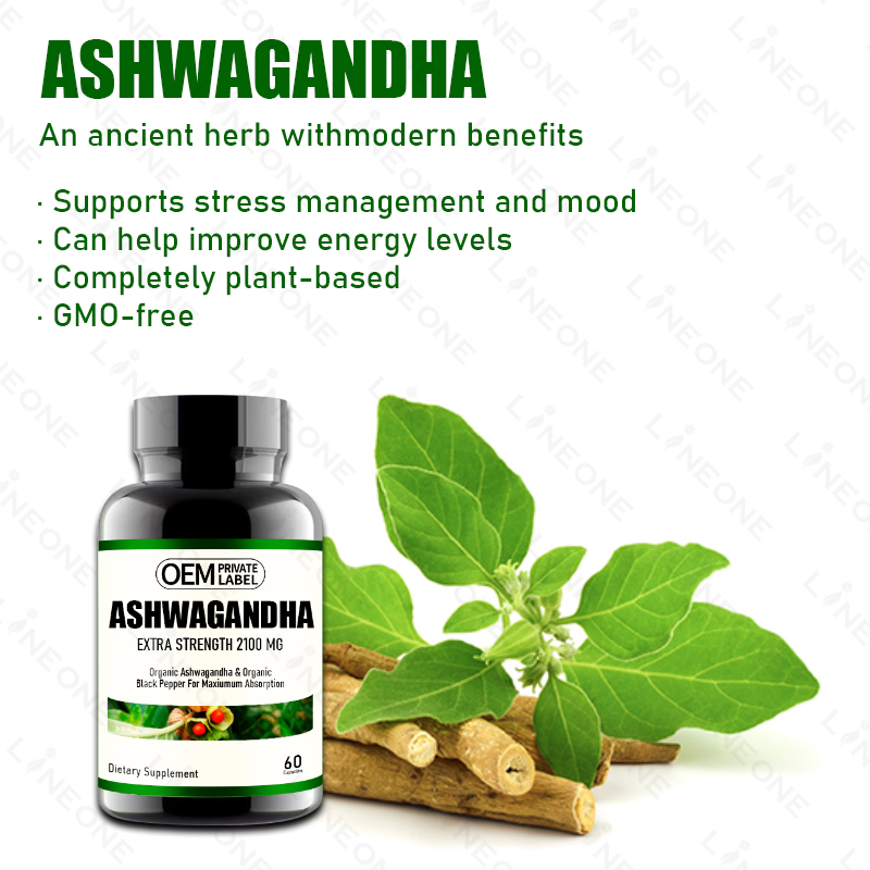 Wholesale Pure Supplements Ashwagandha Capsules
