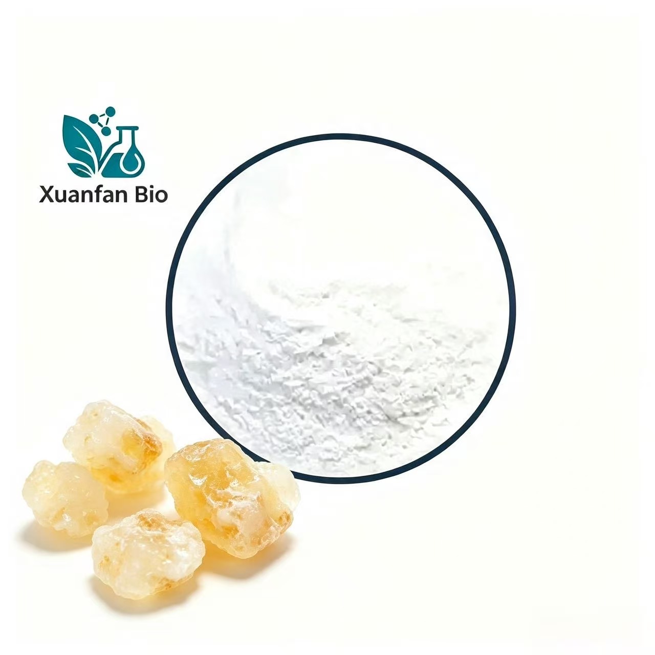 Boswellia Serrata Extract 30% AKBA Boswellic Acid HPTC Test Powder Vacuum Packed Drum Pet Human Dietary Supplement Raw Material