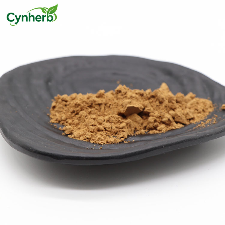 Cynherb Supply Paecilomyces Hepiali Powder CS-4 Cordyceps Mycelium Powder Cordyceps Sinensis Extract
