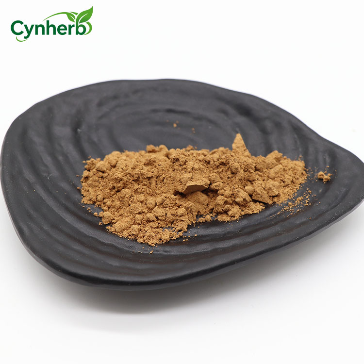 Cynherb Supply Paecilomyces Hepiali Powder CS-4 Cordyceps Mycelium Powder Cordyceps Sinensis Extract
