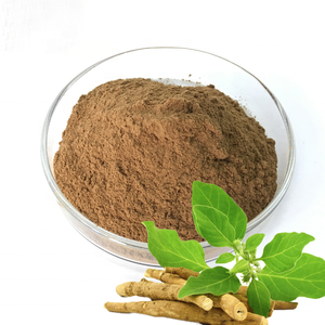 Natural Plant Ashwagandha Root Extract 5% Withanolides Powder