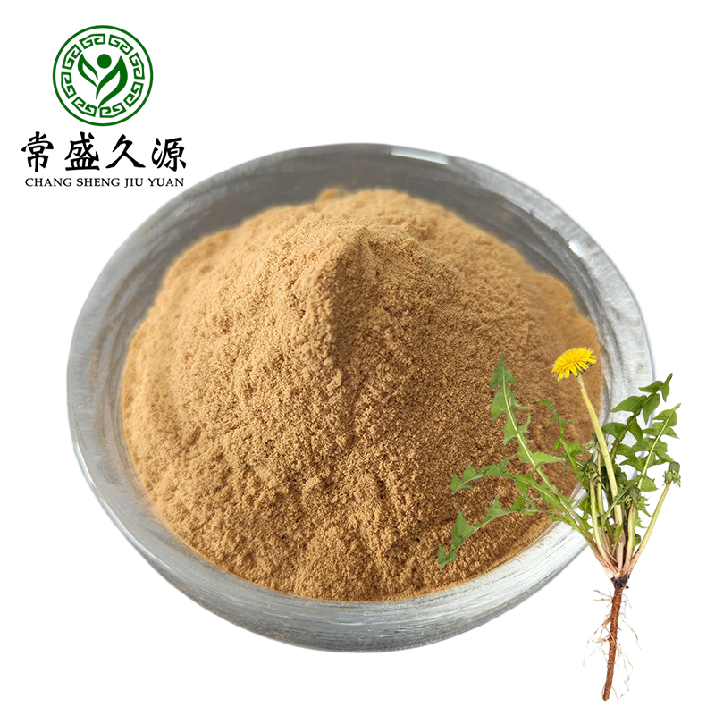Natural Supplement Dandelion Root Extract Factory Supply 10:1 20:1 30:1 Pure Dandelion Extract Powder