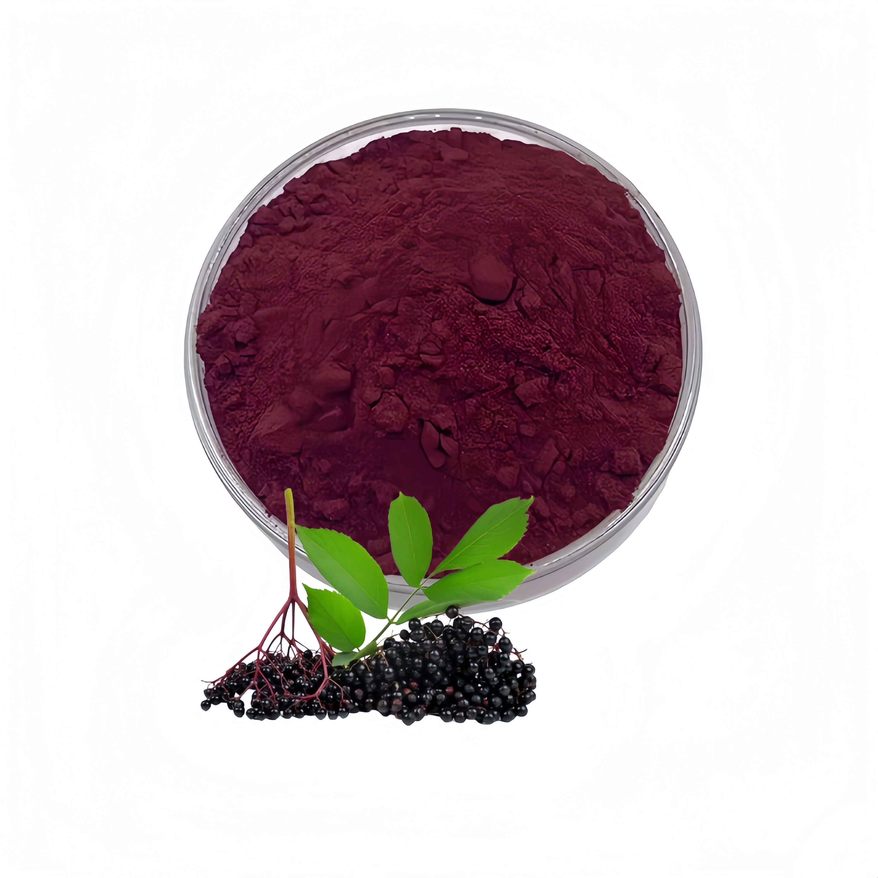 Elderberry Extract Black Elderberry Sambucus Nigra Fruit Powder Rich in Anthocyanin &amp; Flavonoids