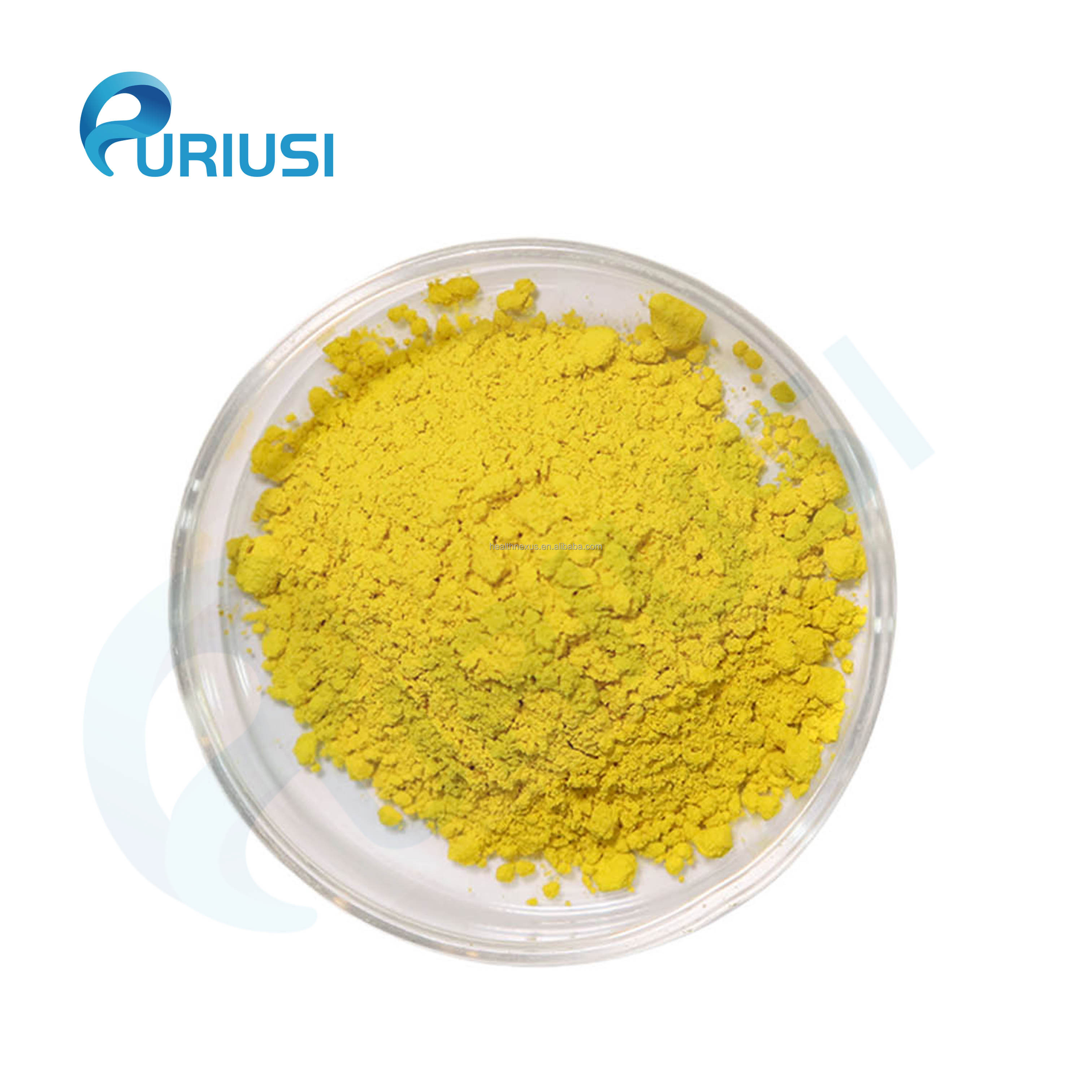 Factory Supply Plant Extract 50% 98% Dihydroberberine Powder CAS 483-15-8