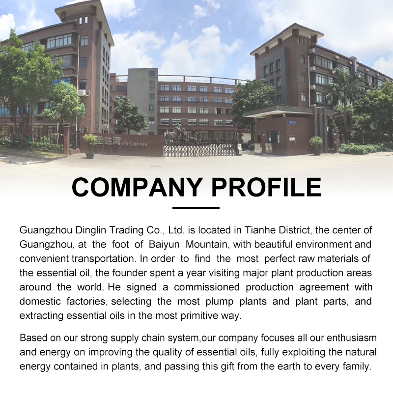 Factory Overview