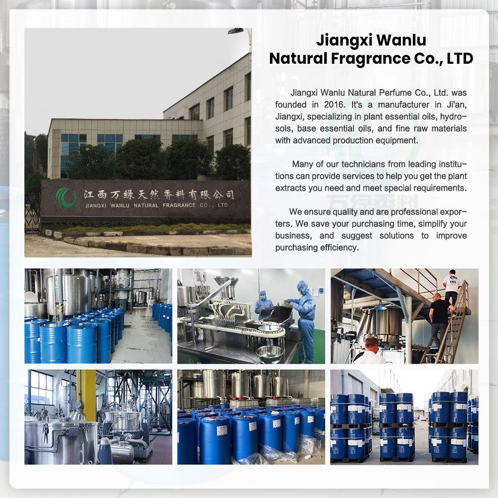 Company Facility