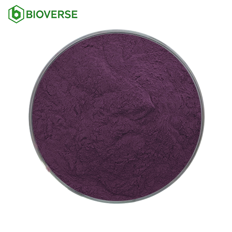 High Quality Food Grade 5% 10% 25% Anthocyanins Water Soluble Elderberry Extract Powder