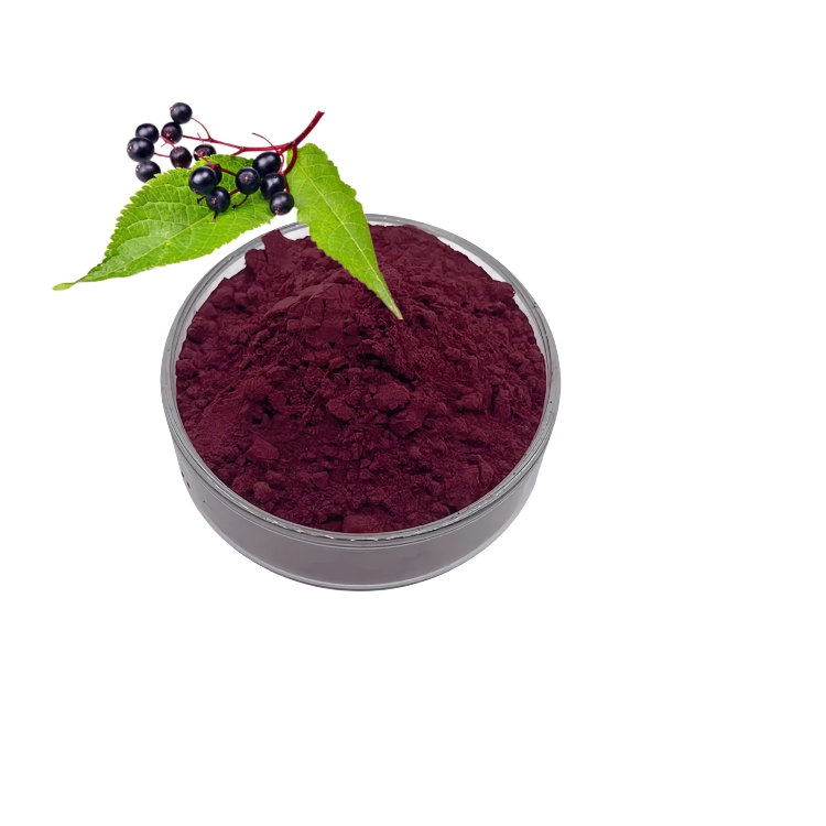 Food Grade Natural Color Sambucus Nigra Elderberry Extract Powder 10:1 for Functional Beverages
