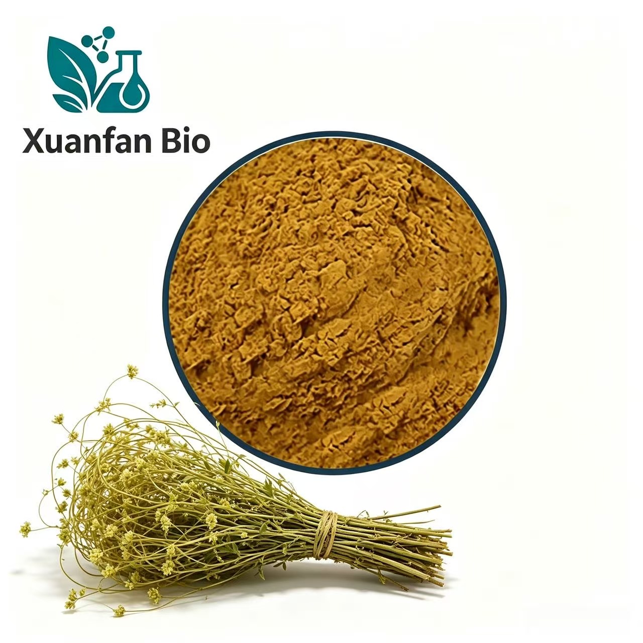 Wholesale Cuscuta Chinensis Herb Extract 50:1 TLC Natural Whole Herb Extract Powder Food Cosmetic Grade Raw Material Drum