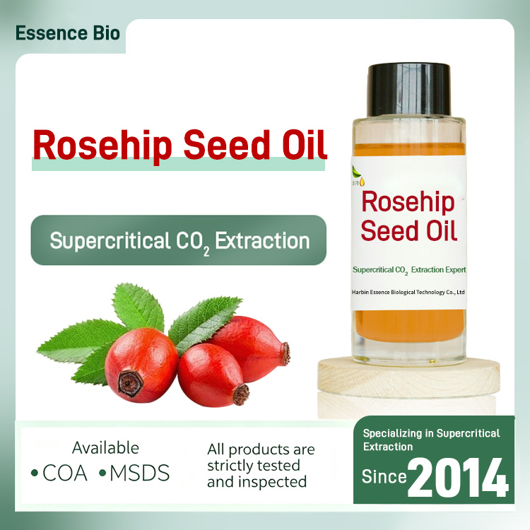 China Best Selling Product Bulk Rosehip Seed Oil SFE CO2 Wild Rose Seed Oil Rose Extract