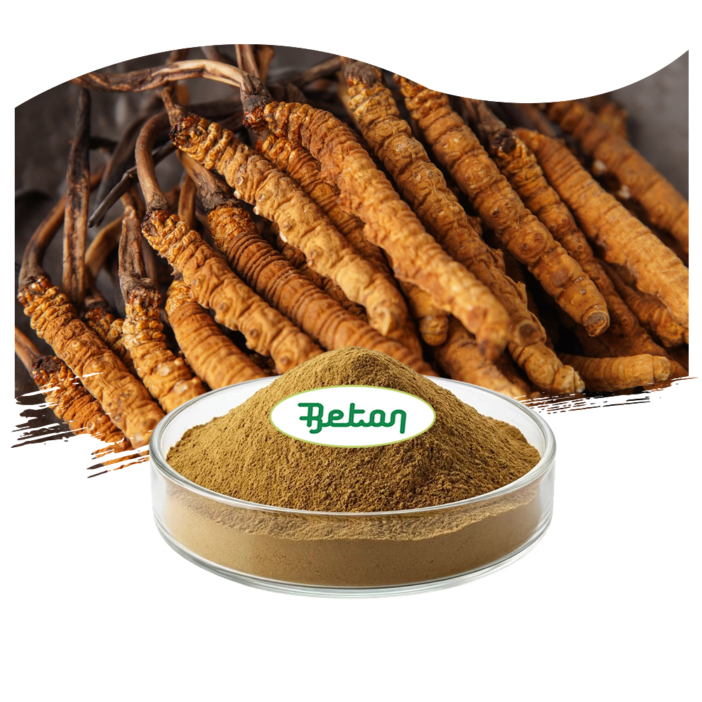 Wholesale Factory Direct Cordycepin 1% 3% Cordyceps Sinensis Militaris Extract Powder Food Grade Raw Supplement