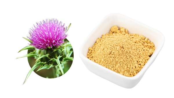 RUIWO PHYTOCHEM Herbal Bulk Milk Thistle Extract Powder Silymarin 98% Food Grade HPLC