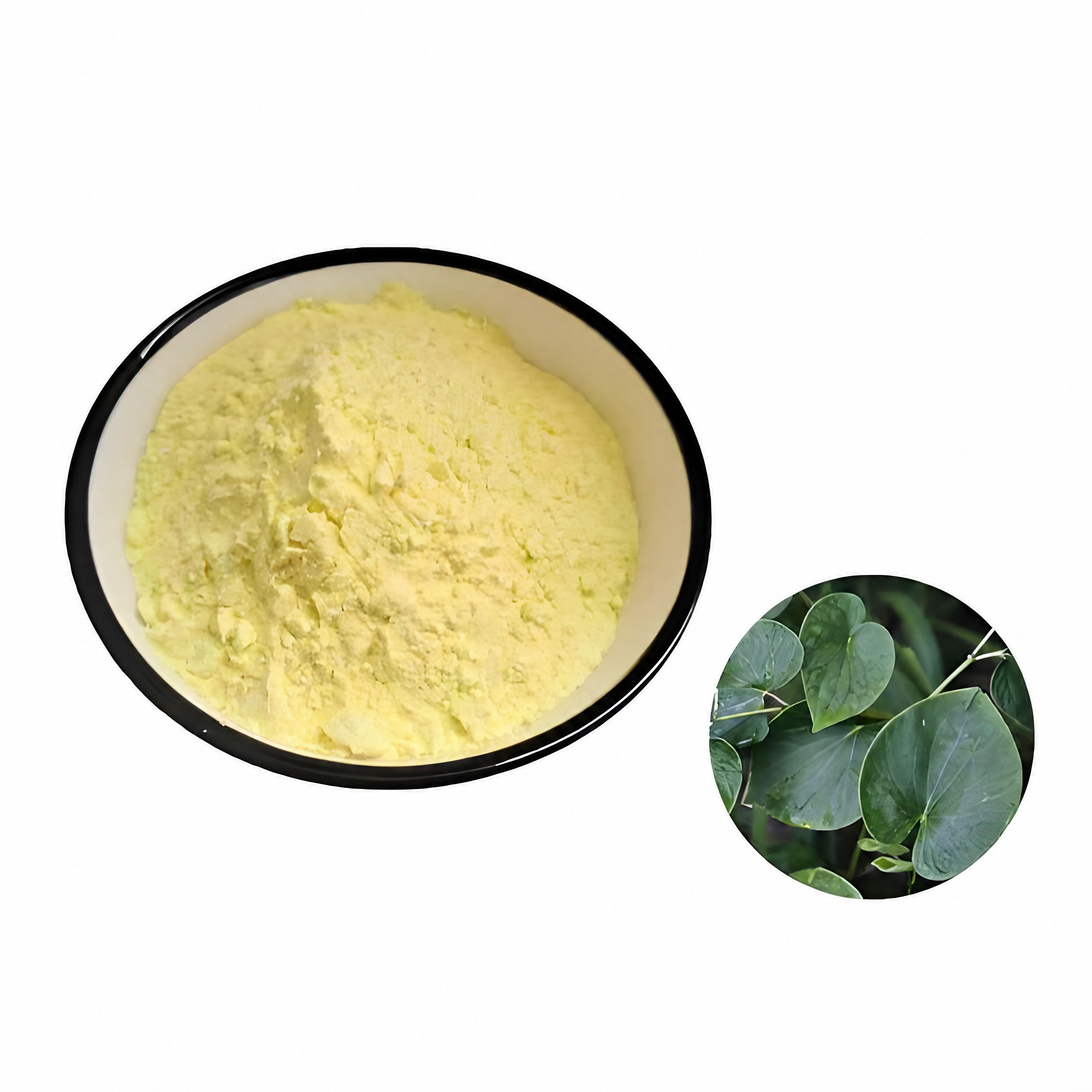 Bulk Wholesale Piper Methysticum Kava Root Extract Powder Herbal Plant Extract Raw Material Full Batch Documentation Provided
