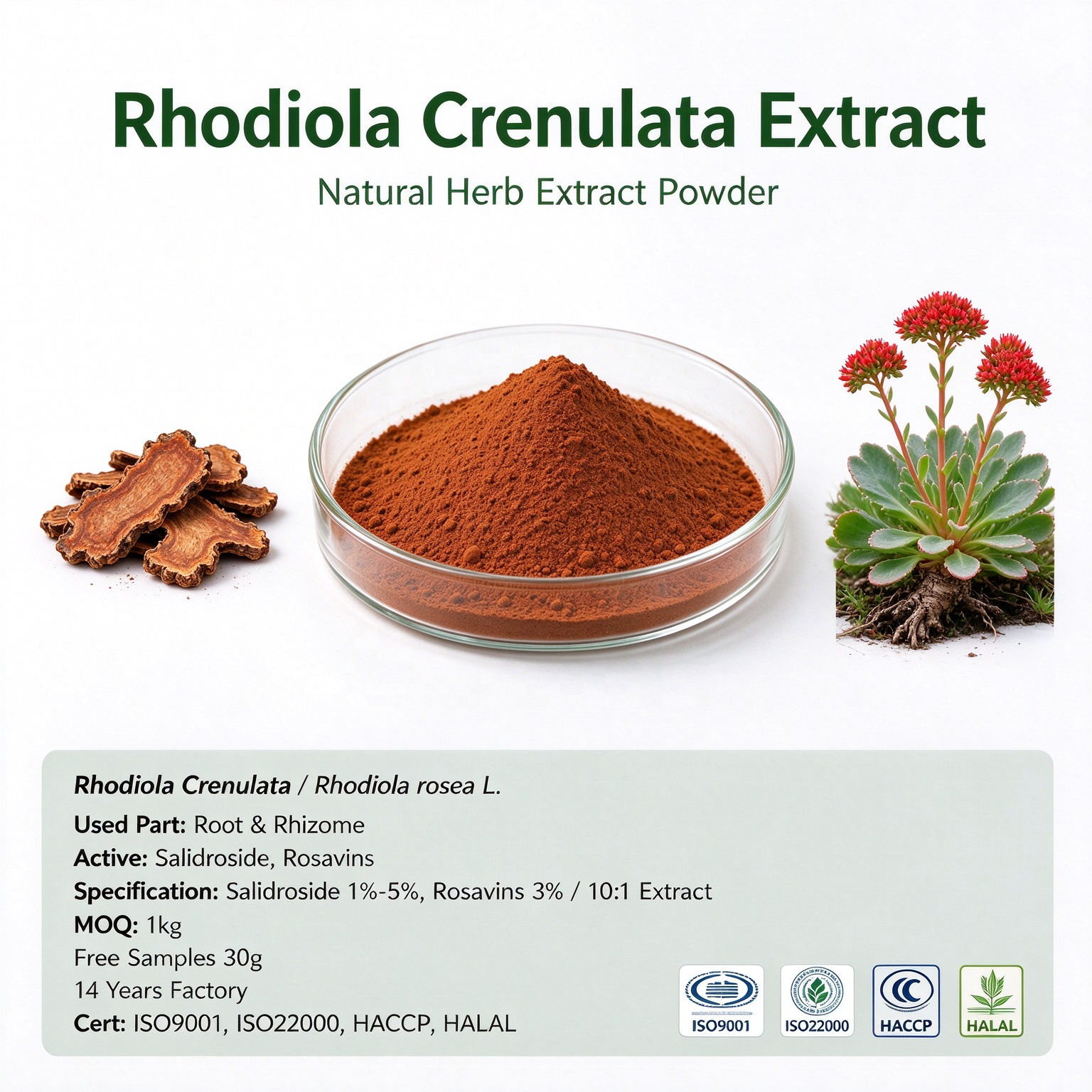 Rhodiola Rosea Root Extract Herbal Powder Rosavin 3% Salidroside 1%