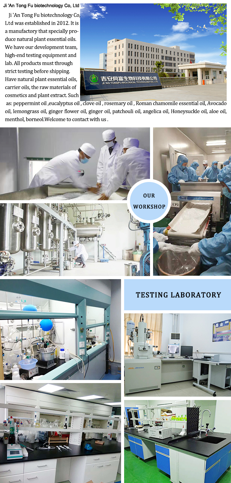 Company Facility and Production