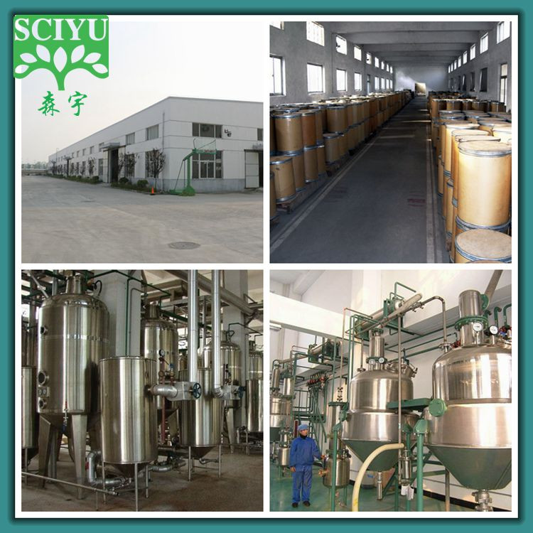 Boswellia Serrata Extract Frankincense Powder 65%-90% Boswellic Acid Herbal Food Grade Drum Packaging