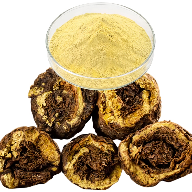 Pure Quality Hot Selling Natural Herbal Bulk OEM Factory Supply Scutellaria Root Extract